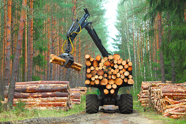 Logging