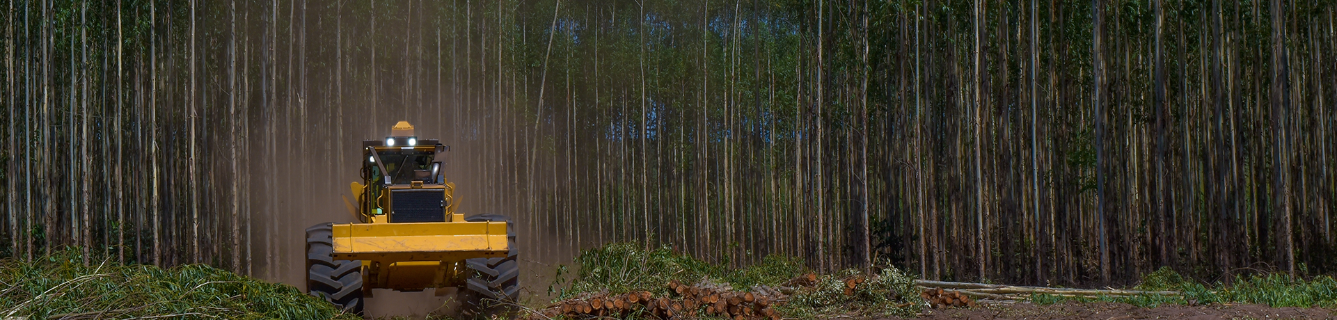 Timber Tractor