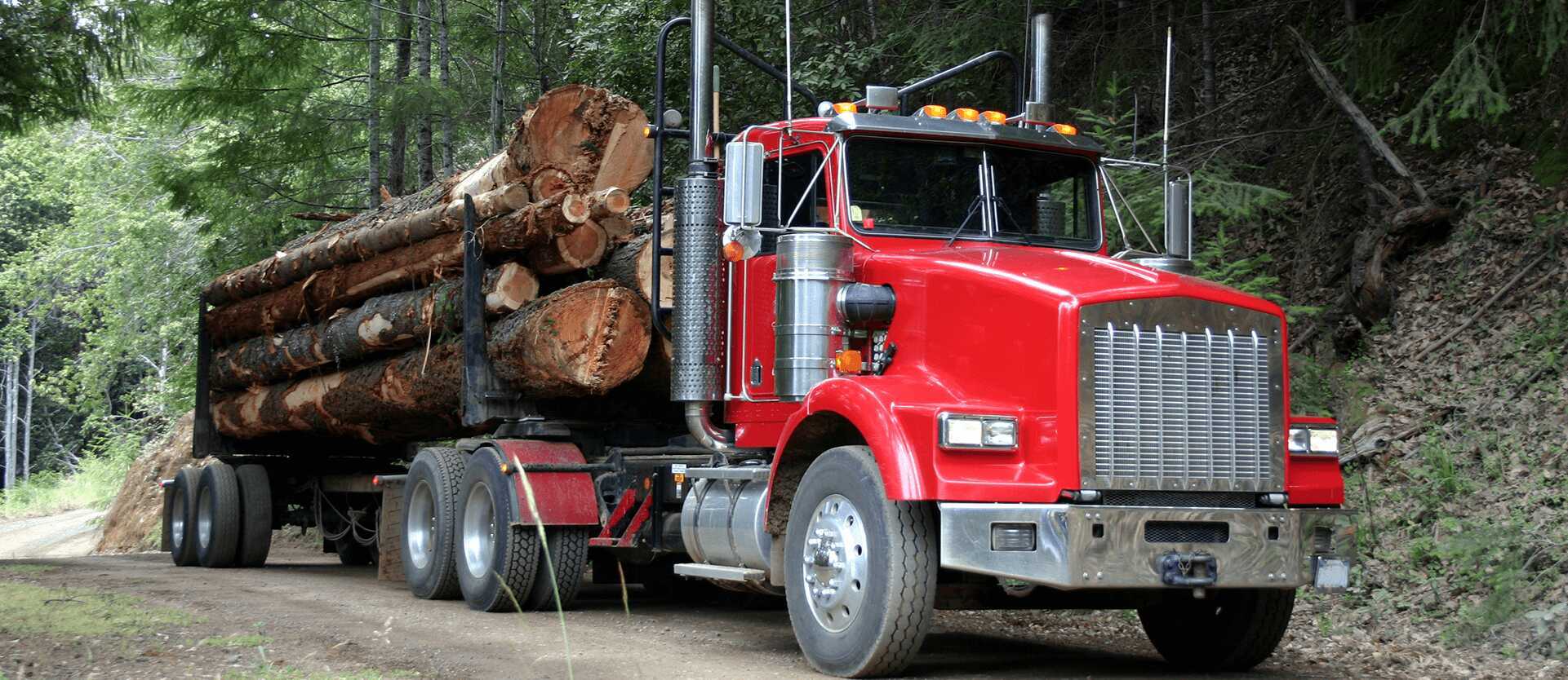 Logging Truck